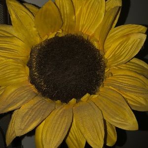 Meet your Posher, Erika